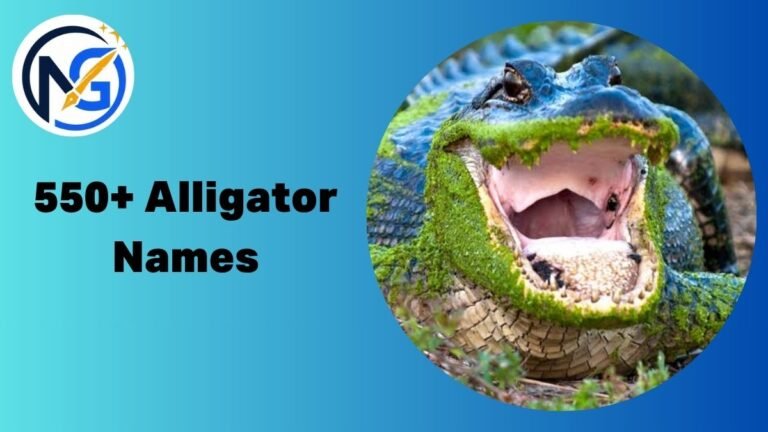 Alligator Names
