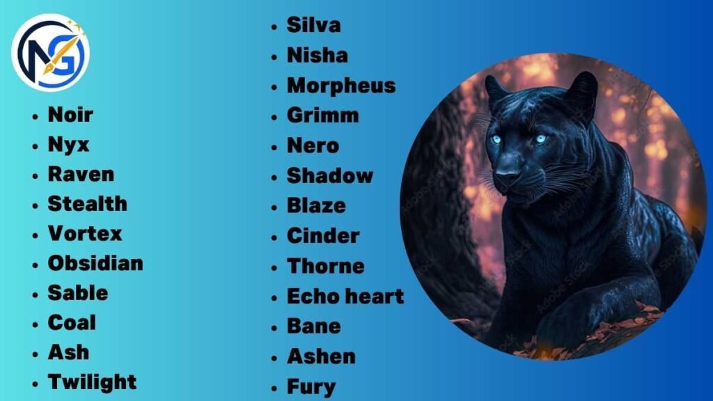 Best Panther Names