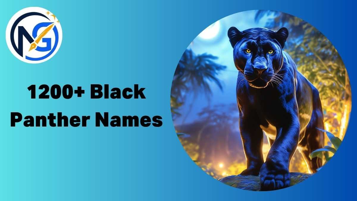 Black Panther Names