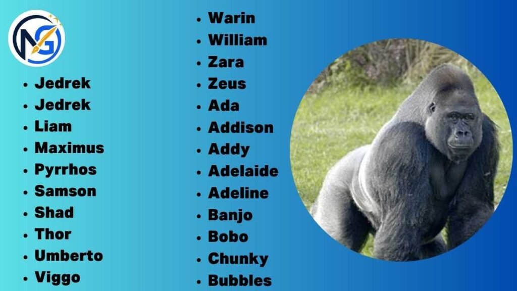 Catchy Gorilla Names 