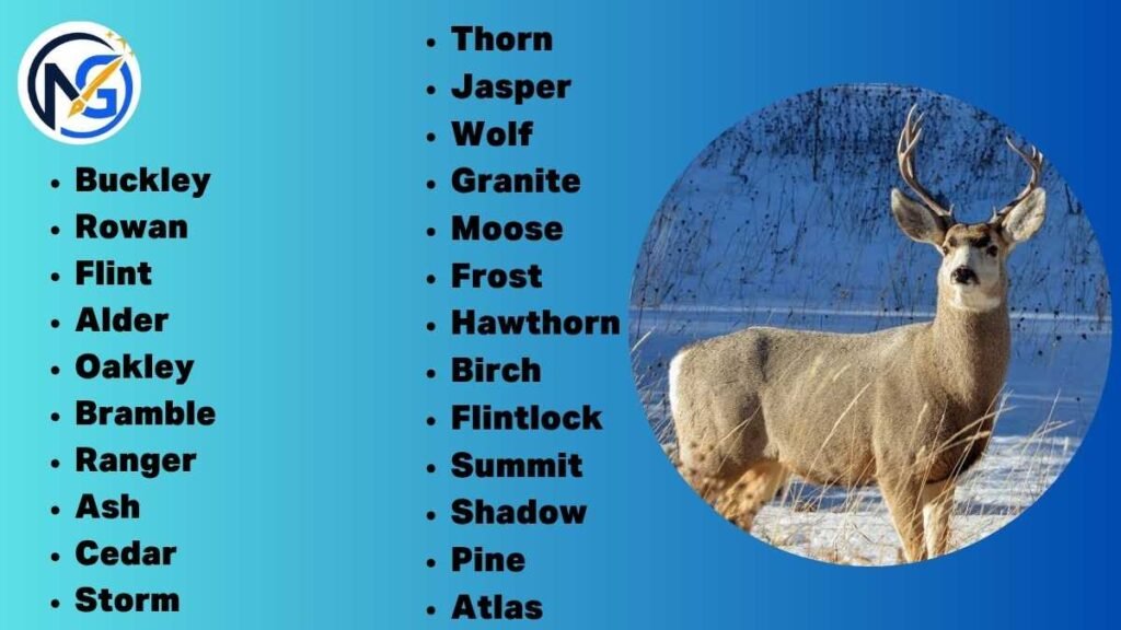 Deer Names Male