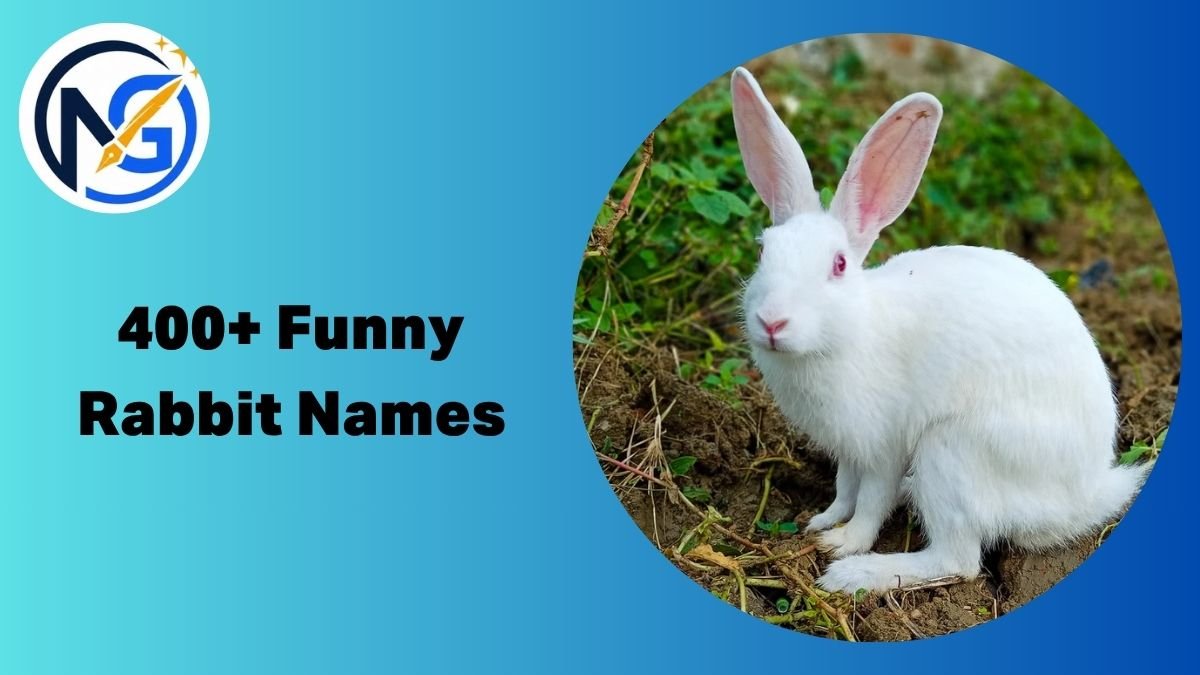 Funny Rabbit Names