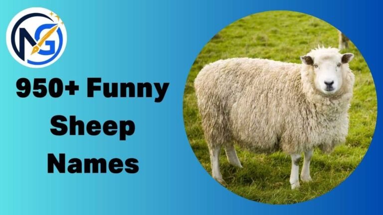 Funny Sheep Names