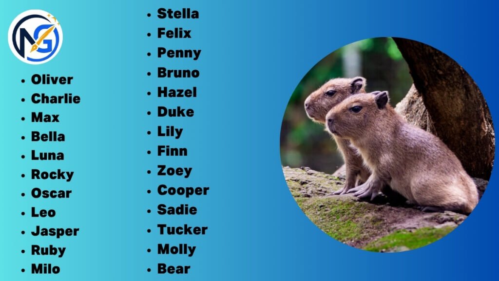 Good Capybara Names