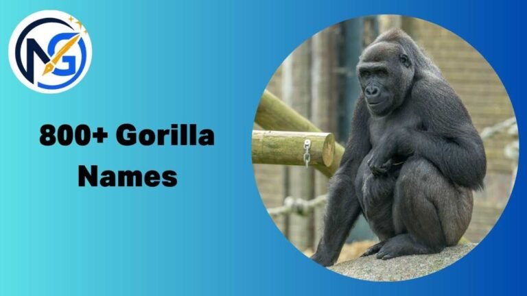 Gorilla Names