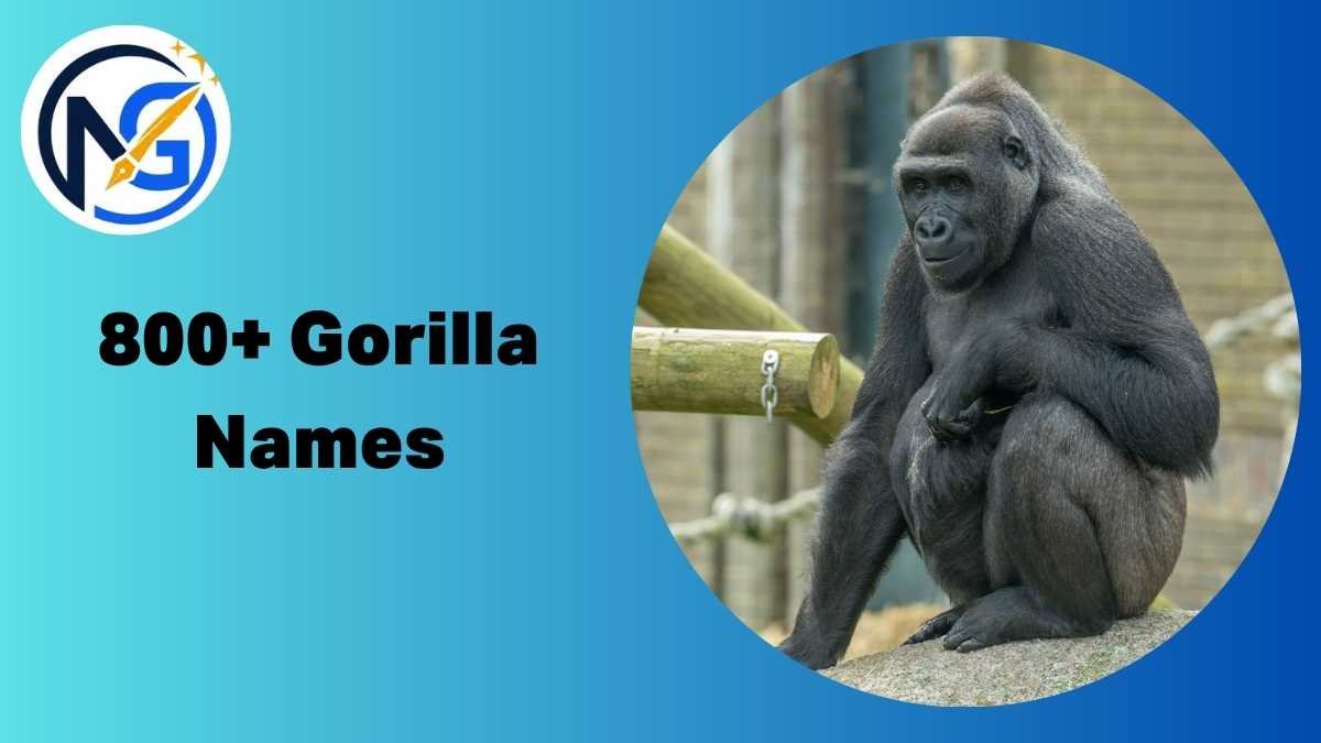 Gorilla Names