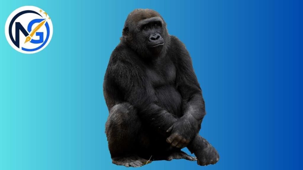Heartful Gorilla Names 