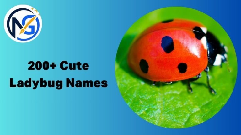 Ladybug Names