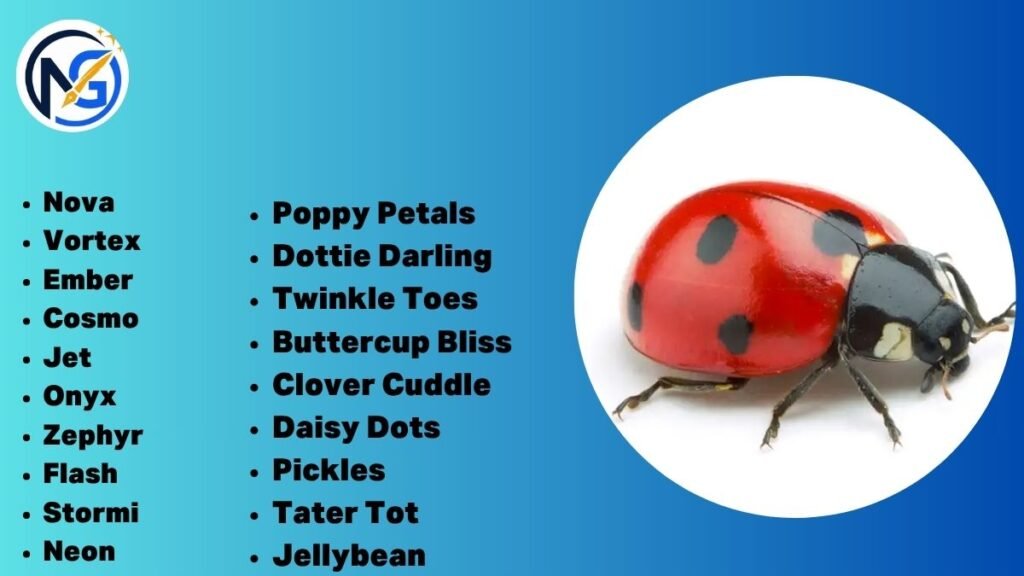 Unique Ladybug Names