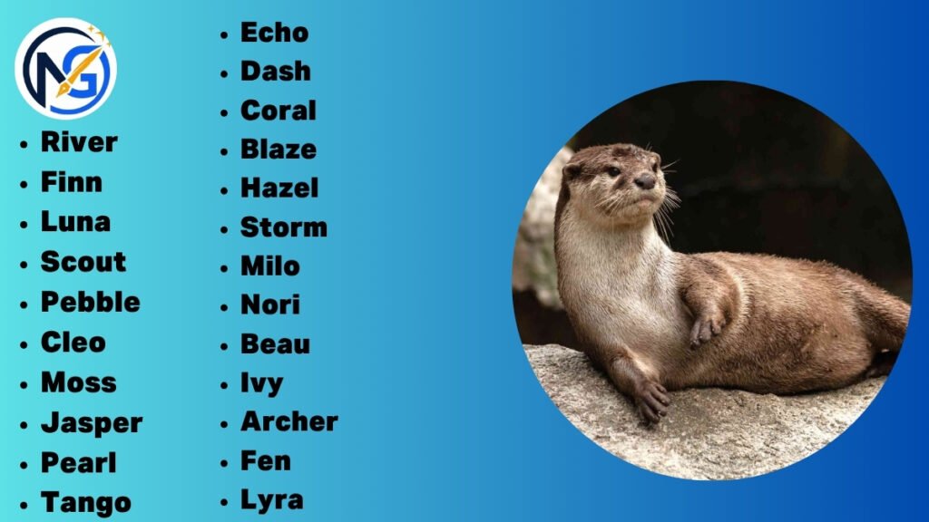 Best Otter Names