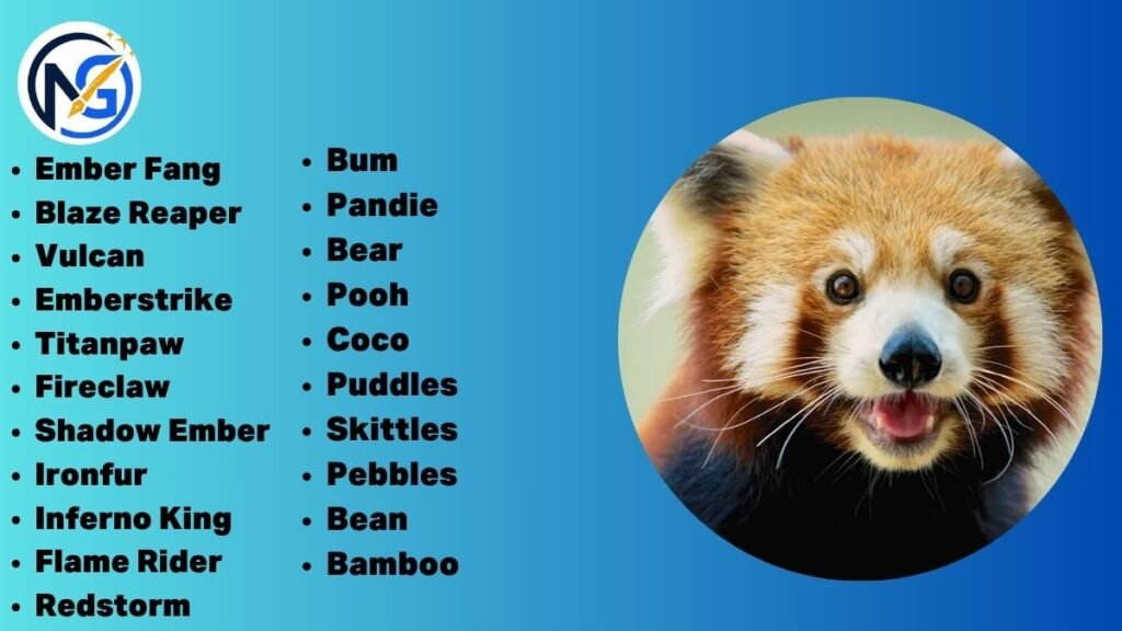 Catchy Red Panda Names