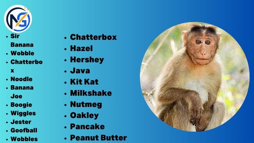Cool Monkey Names 