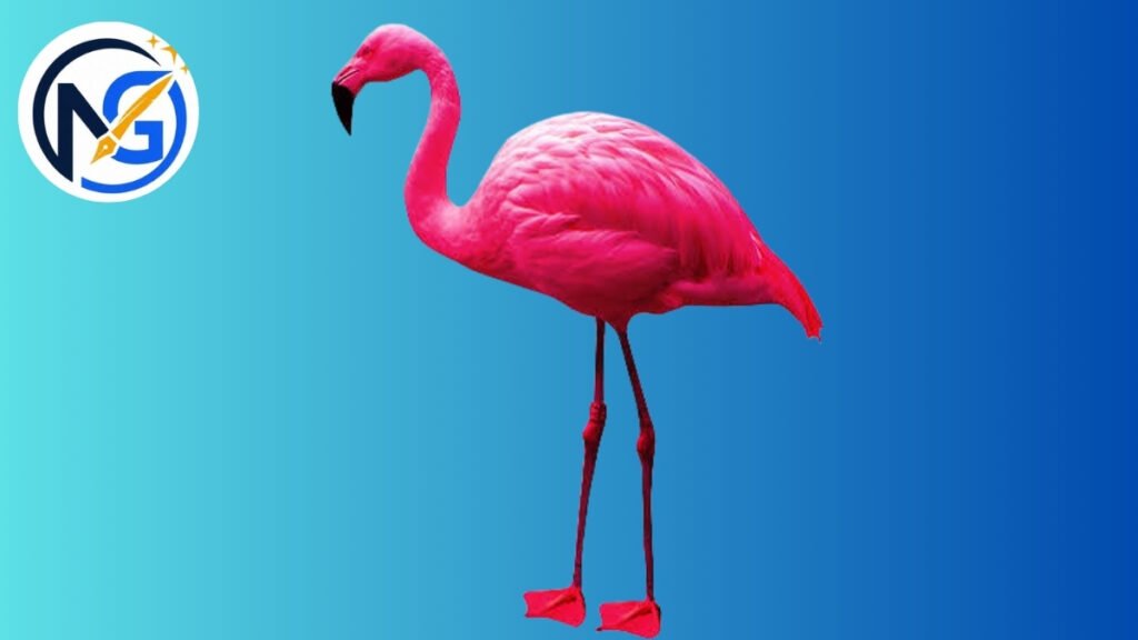 Cute Flamingo Names