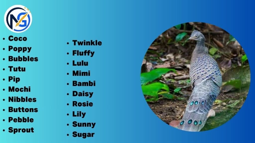 Cute Peacock Names