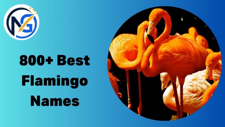 Flamingo Names