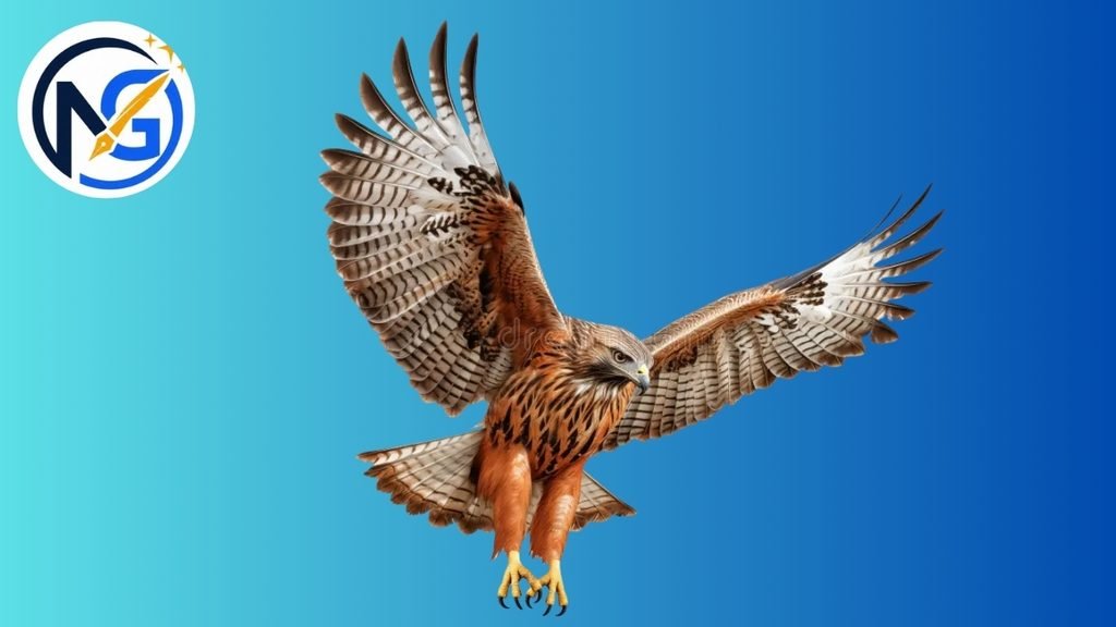 Good Hawk Names