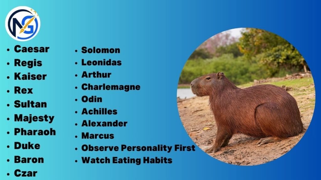 Heartful Capybara Names