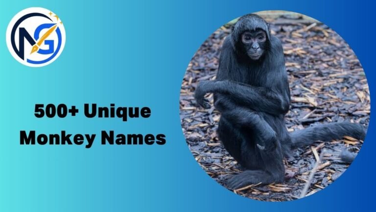 Monkey Names