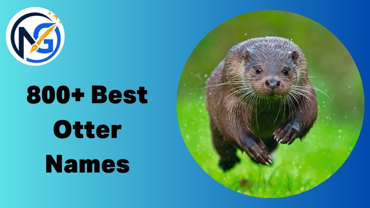 Otter Names
