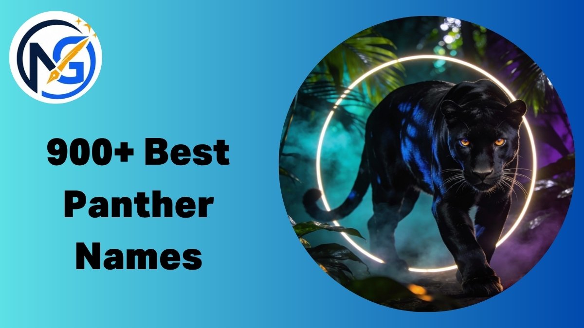 Panther Names