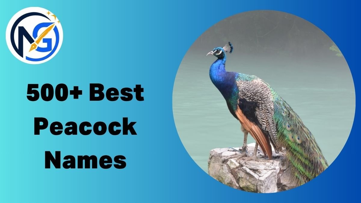 Peacock Names