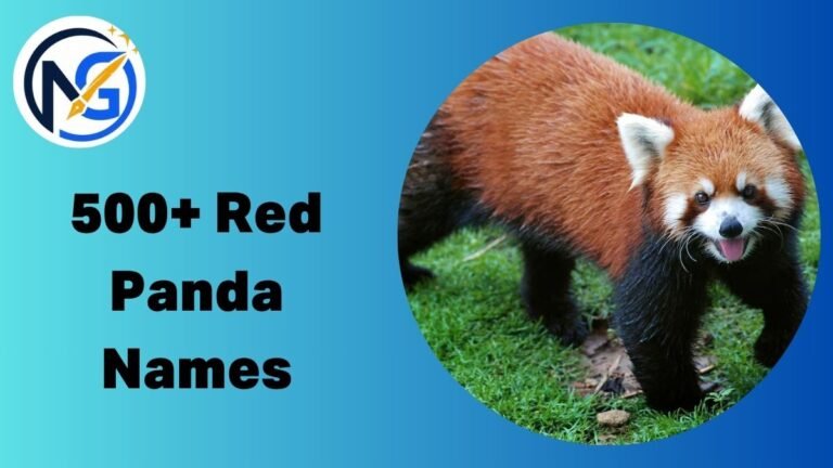 Red Panda Names