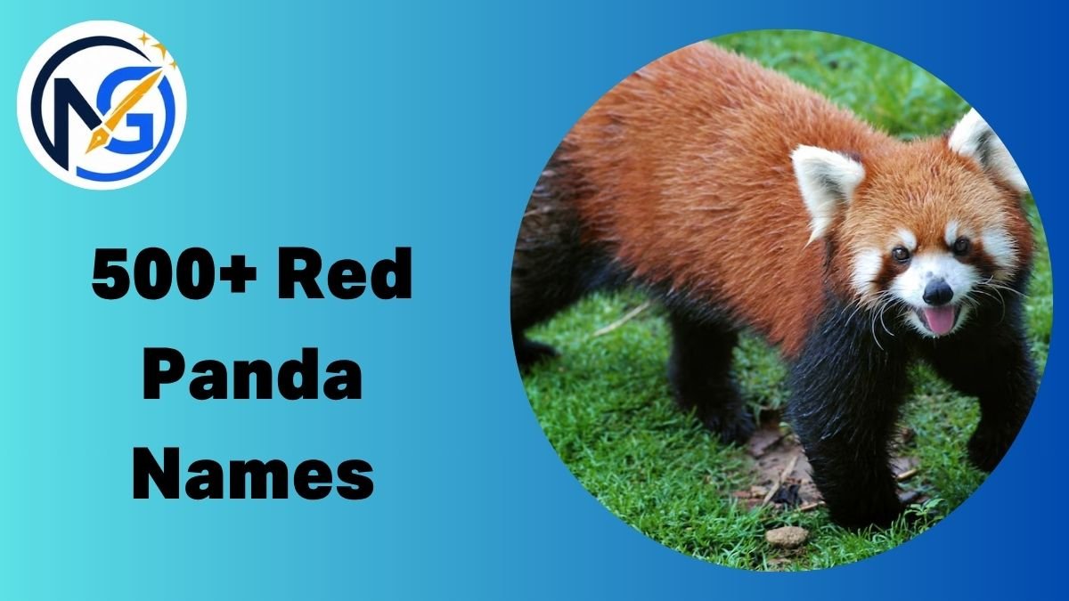 Red Panda Names