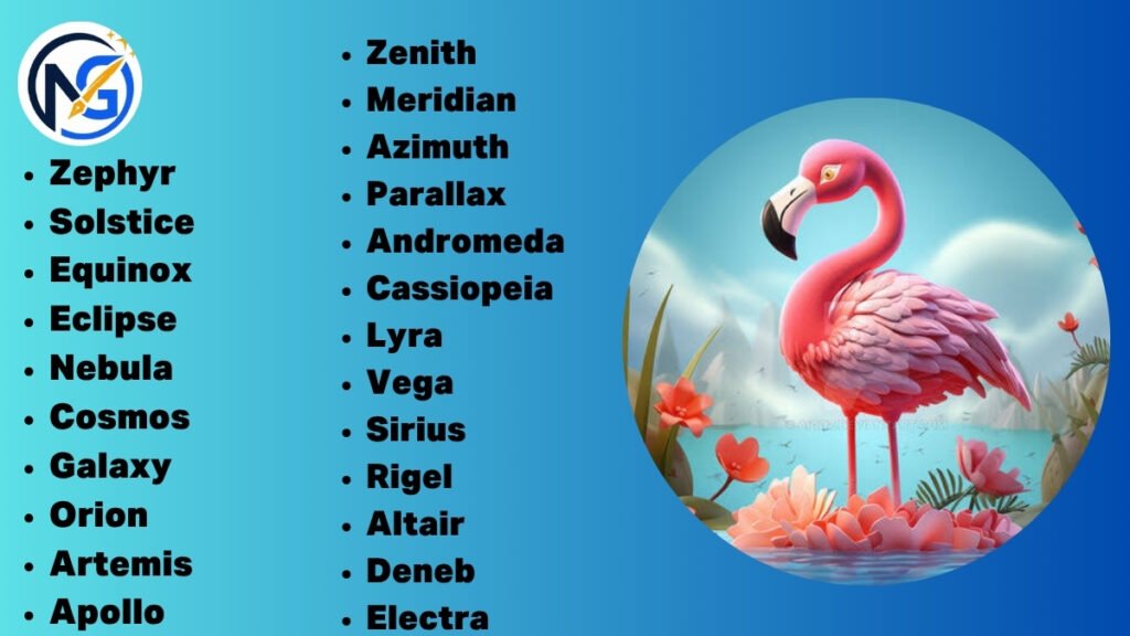 Unique Flamingo Names