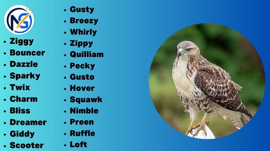 Unique Hawk Names