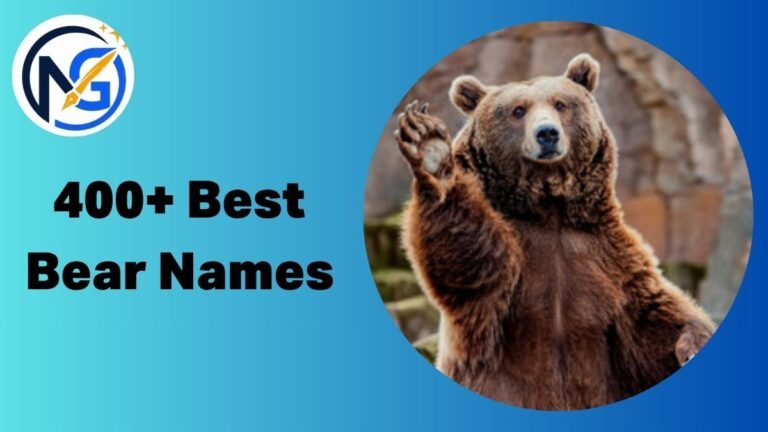400+ Best Bear Names: Cool, Catchy and Amazing