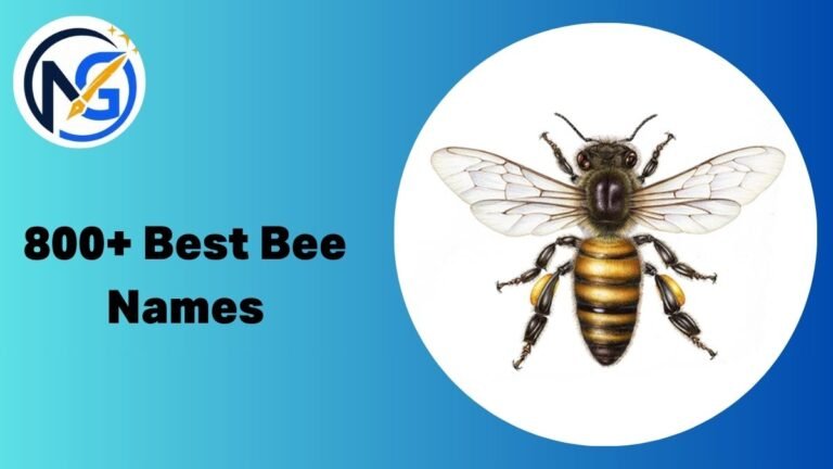 Bee Names