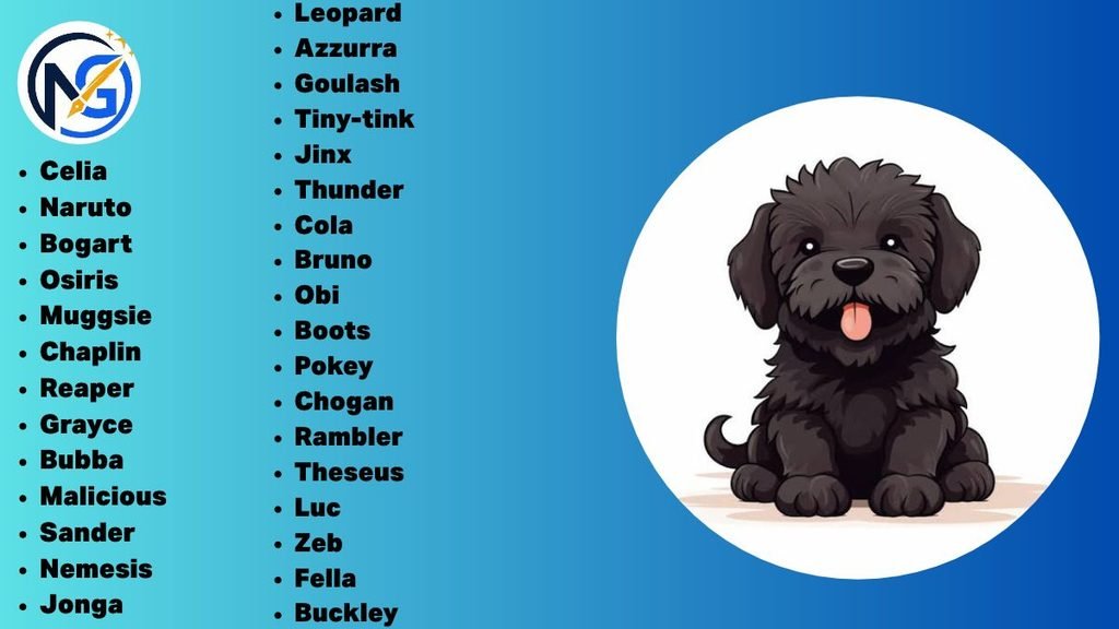 Black Puppy Names