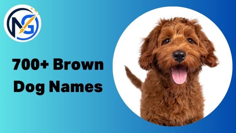 Brown Dog Names