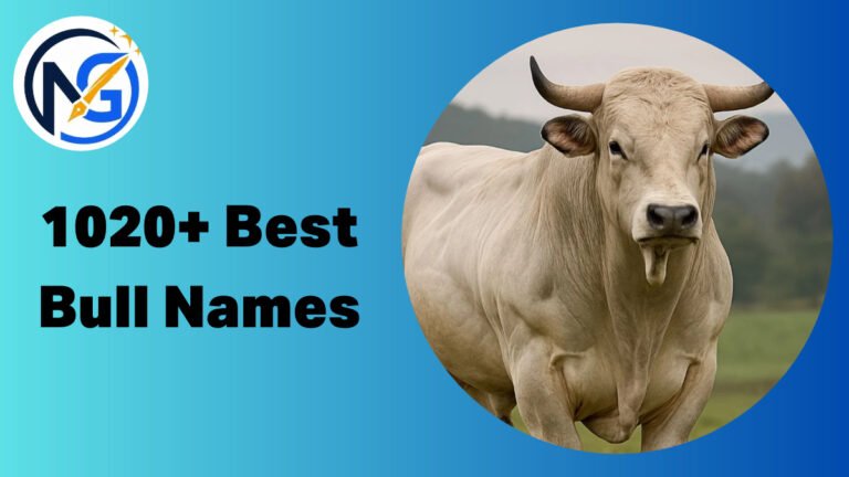 Bull Names