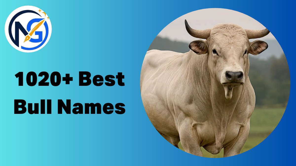 Bull Names