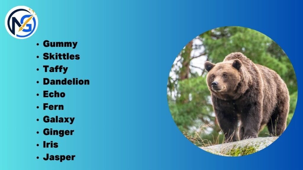 Catchy Bear Names