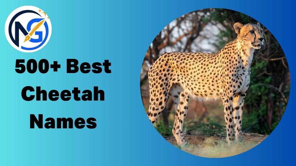 Cheetah Names