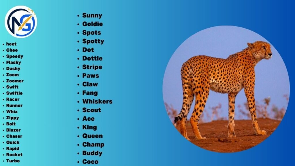 Cheetah Nicknames