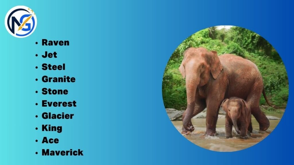 Cool Elephant Names