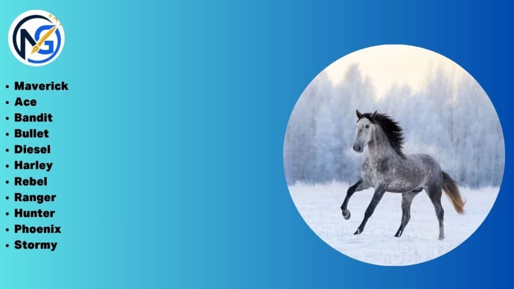 Cool Horse Names