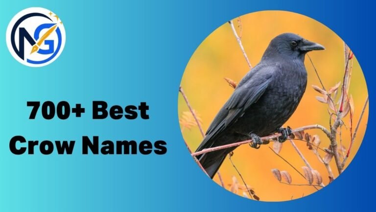 Crow Names