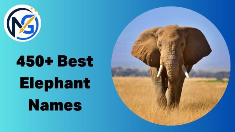 Elephant Names