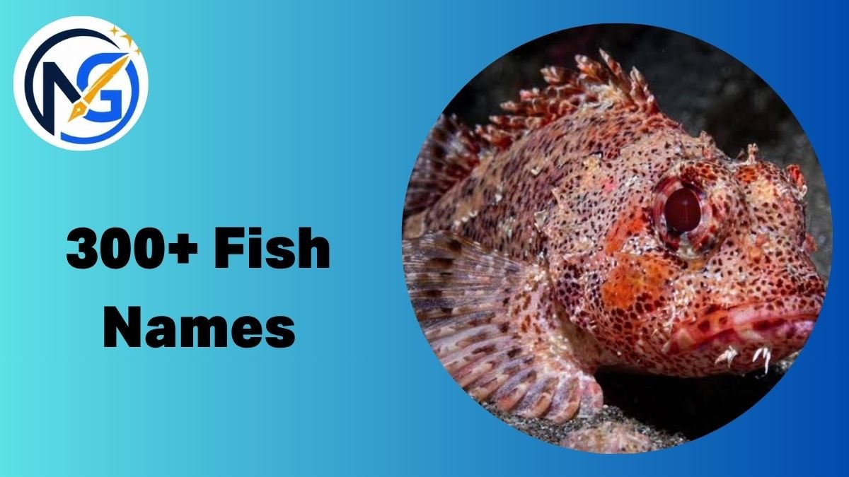 Fish Names