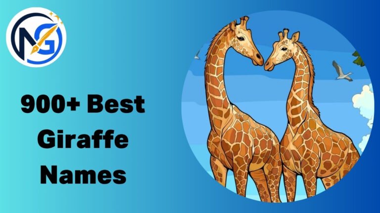 Giraffe Names