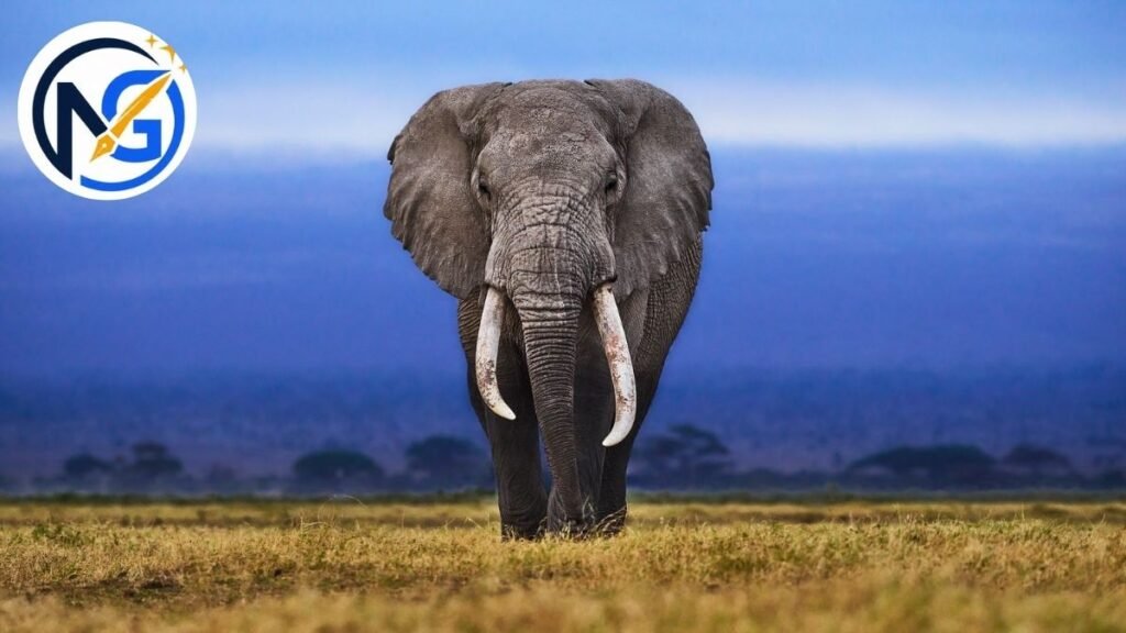 Good Elephant Names