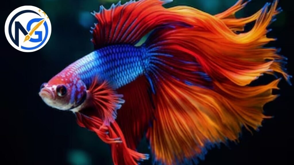 Heartful Fish Names