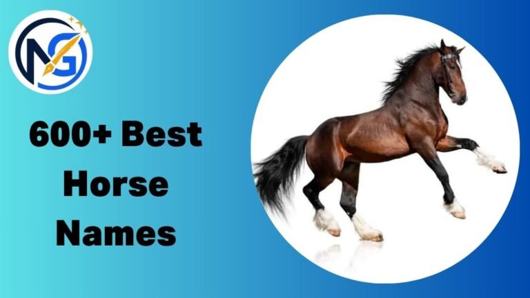 Horse Names