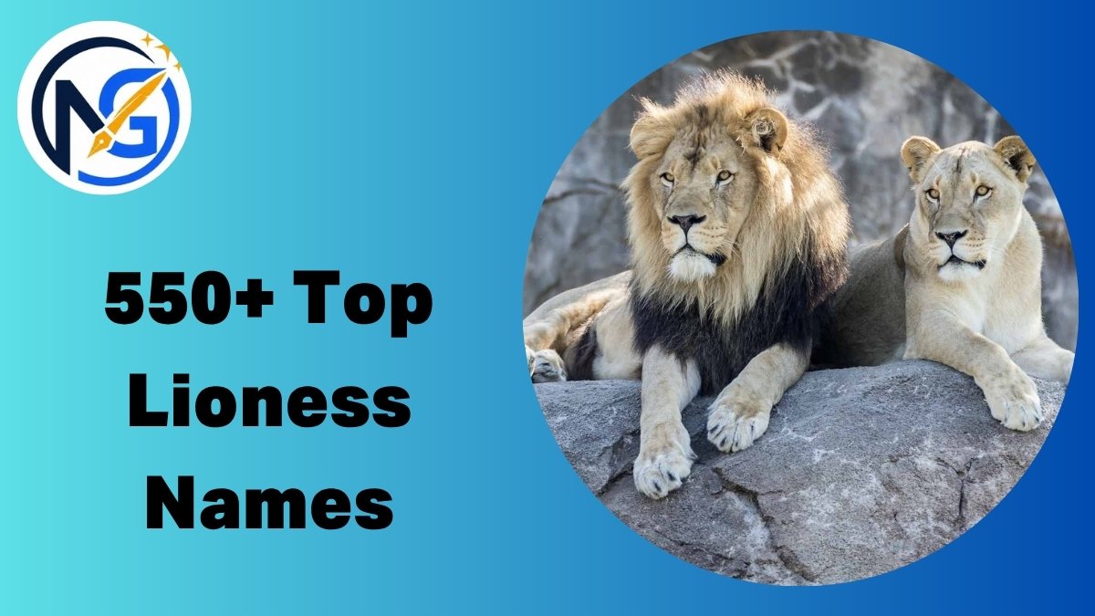 Lioness Names