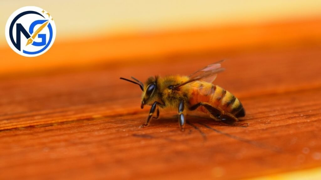 Popular Bee Names