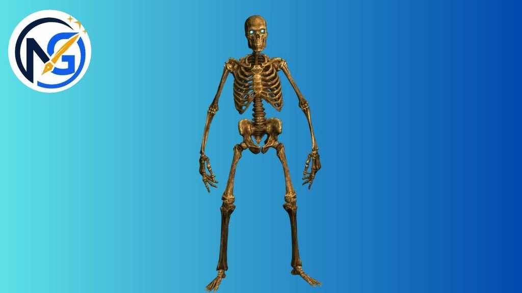 Funny Skeleton Name